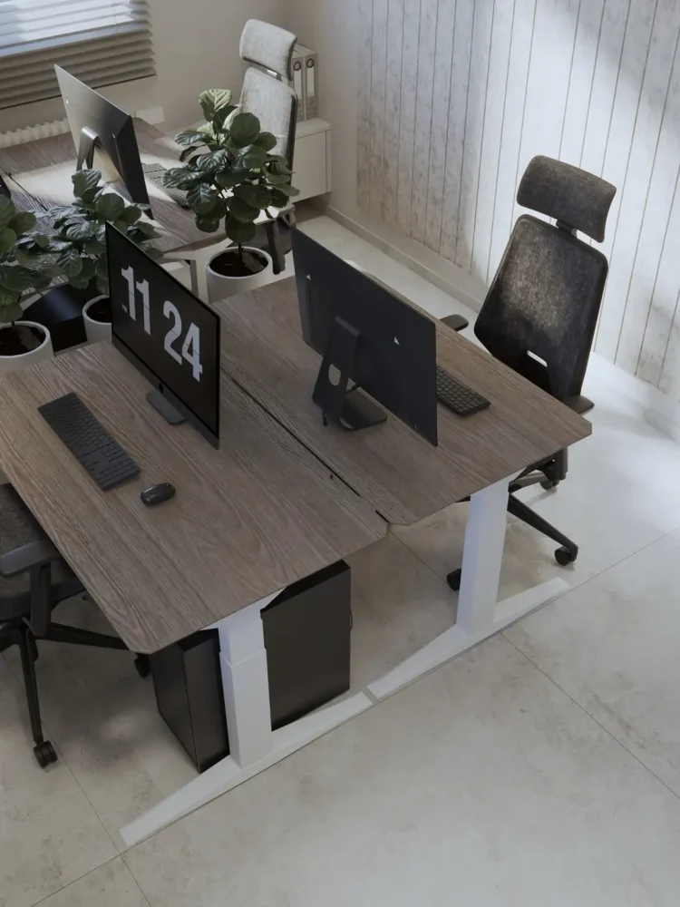 6 duże zdjecie i miniatutka